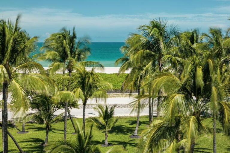 Where to Stay in Palm Beach, Florida (Best Areas + Hotels for First-Time Visitors)