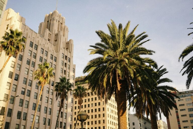 Best Areas to Stay in Los Angeles (Solo Travelers Guide)